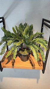 Arranjo Verde Com Cycas 35cm Chumbado em Pote